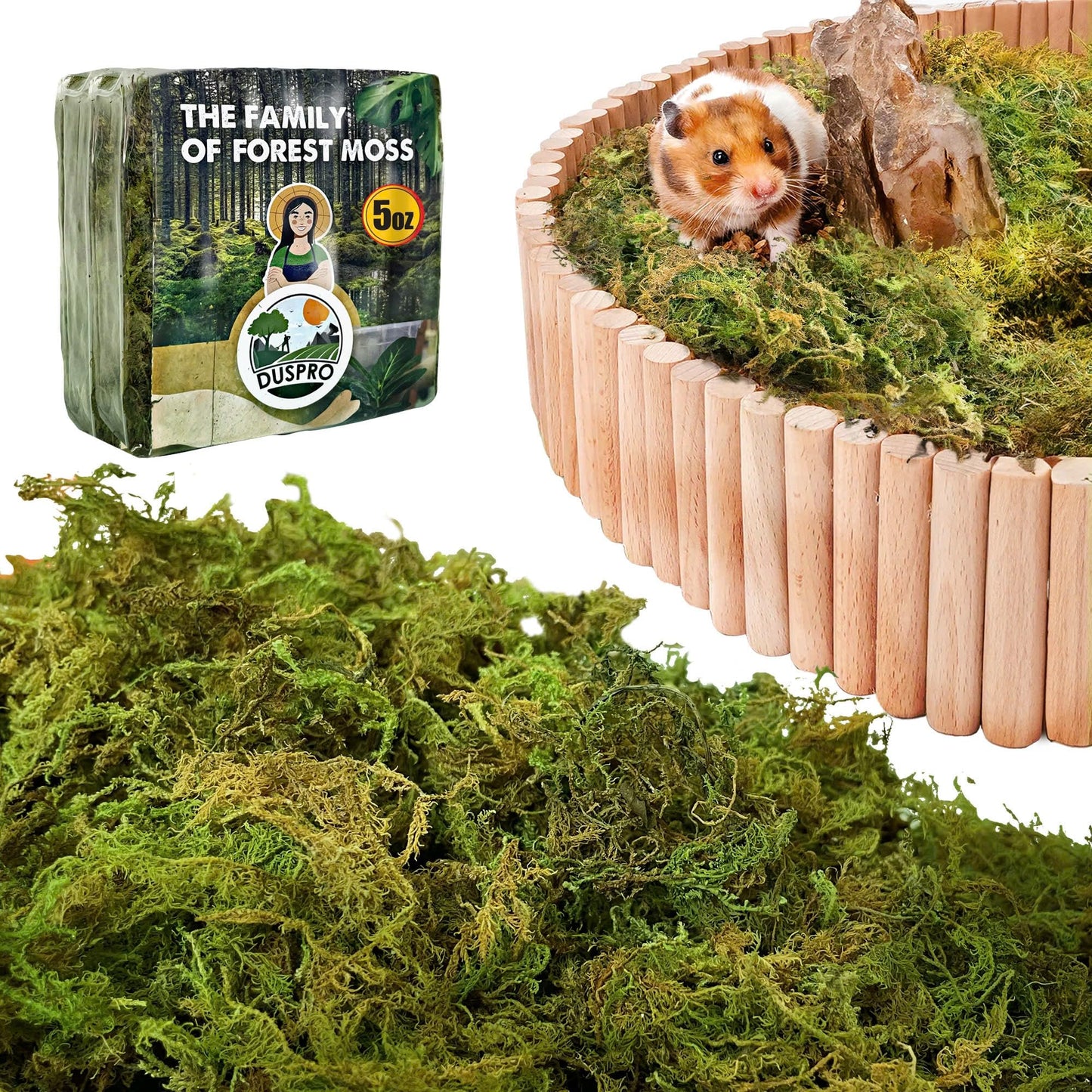 Natural Forest Moss for Hamster Habitats