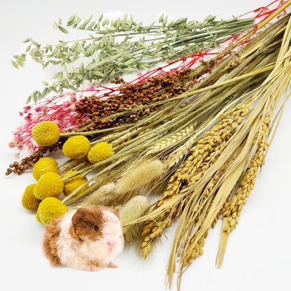 FrayNest Botanical Harvest Bundle™