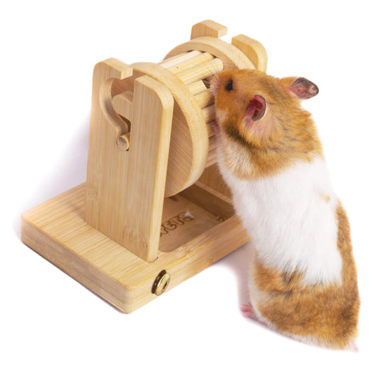 Natural Foraging Enrichment Puzzle for Small Pets