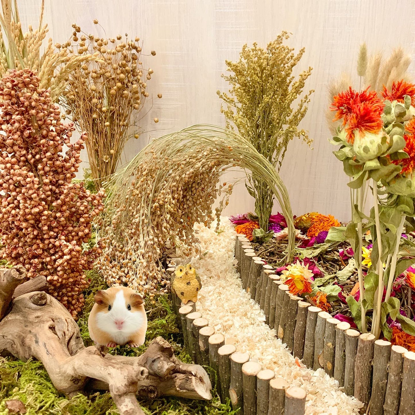Natural Forage Mix with Flowers, Herbs & Sprays for Small Pets