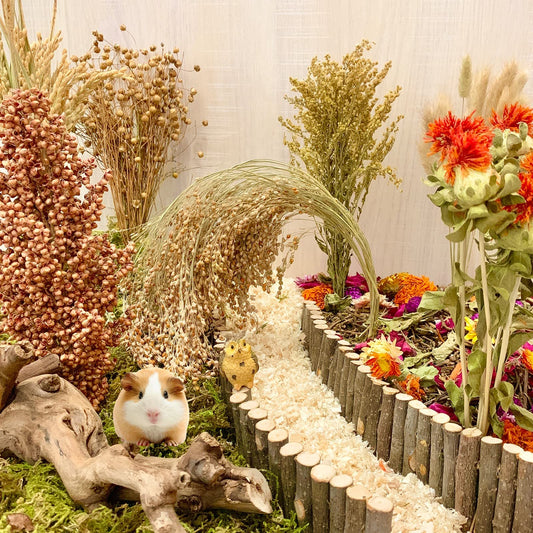 Natural Forage Mix with Flowers, Herbs & Sprays for Small Pets