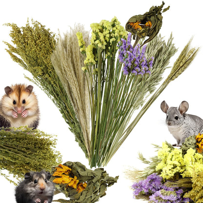 Natural Floral & Herb Habitat Blend for Small Pets